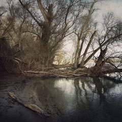 <span style="font-family: Ubuntu Condensed; letter-spacing:0.3em;">WOOD AND WATER</span><br>