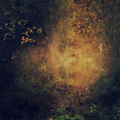 AUTUMN FIRES