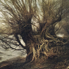 <span style="font-family: Ubuntu Condensed; letter-spacing:0.3em;">I TALK TO THE WIND (REMIX)</span><br>