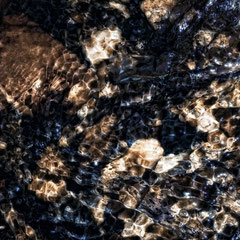 WATER 29