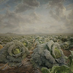 <span style="font-family: Ubuntu Condensed; letter-spacing:0.3em;">CABBAGE FIELD (REMIX)</span><br>