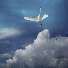 THE ANGEL