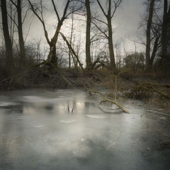 THE FROZEN BROOK III