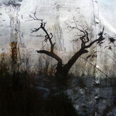 WASTELAND