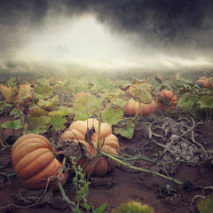 <span style="font-family: Ubuntu Condensed; letter-spacing:0.3em;">NEWS FROM PLANET PUMPKIN</span> </p>