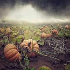 NEWS FROM PLANET PUMPKIN