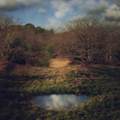 A HOLE IN THE GROUND