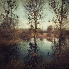 RECEDING FLOOD II