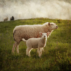 MOTHER AND CHILD