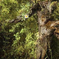 RANDOM PLACES #40