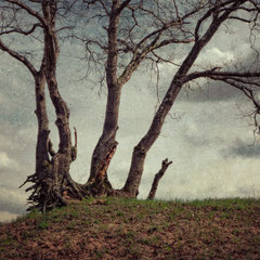 ON AN OLD HILL