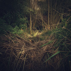 RANDOM PLACES #52