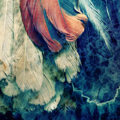 WINGS V
