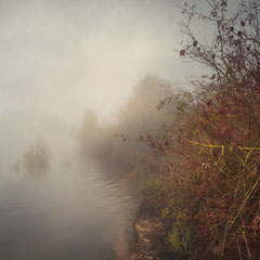 AUTUMN VEIL - PART VIII