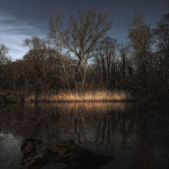 THE MIRROR POOL