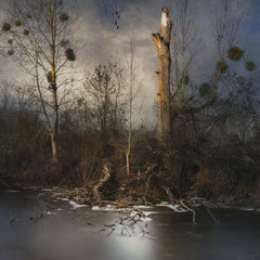 THIN ICE OF A NEW DAY