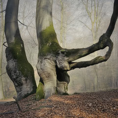 THE BENT ONES (PART XVII)