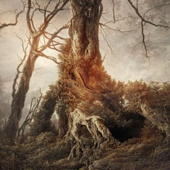 <span style="font-family: Ubuntu Condensed; letter-spacing:0.3em;">NEW LIGHT OF TOMORROW (REMIX)</span><br>
