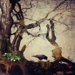 BLACK WINGED MESSENGER | PART XVII