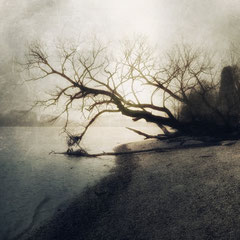 NOVEMBER RIVER