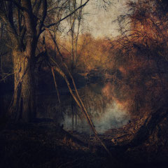 OF SHADOWS AND LIGHT
