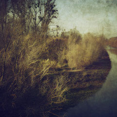 NOVEMBER DIARY