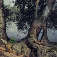 LAYERS OF THE PAST