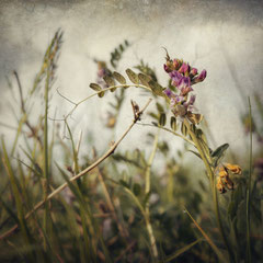 RANDOM PLACES #33