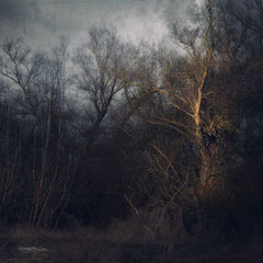 WHERE THE WINTER WINDS BLOW