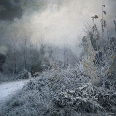 EARLY MORNING FROST