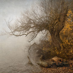 AUTUMN VEIL - PART III