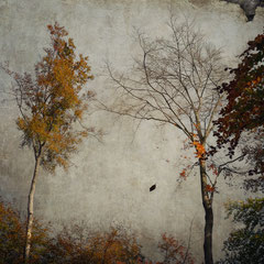 AND THE LEAVES THEY KEEP FALLING