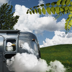 OVERLAND
