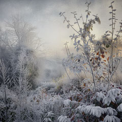 WINTER IS CLOSE I