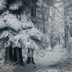COLD AGAIN
