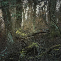 RANDOM PLACES #17