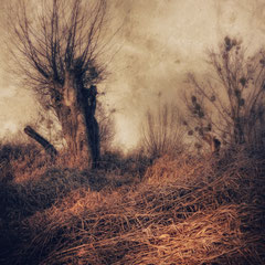 THE VANISHING OF FULCANELLI