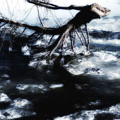 FROZEN 17