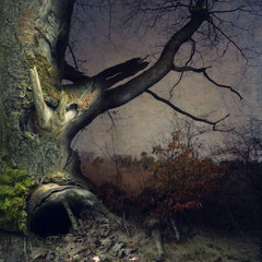 FALLING THROUGH TIME