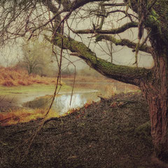 HIDDEN WATERS II