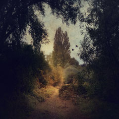 FIND A LIGHT