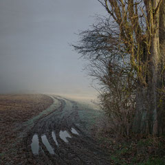 FROZEN TRACES