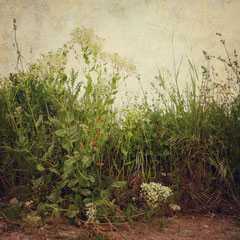 RANDOM PLACES #25