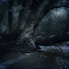 THE HAUNTED RIVER
