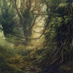 <span style="font-family: Ubuntu Condensed; letter-spacing:0.3em;">A LUCID DREAM (REMIX)</span><br>