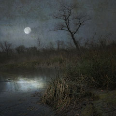 COLD WAS THE NIGHT