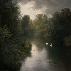 SWANS