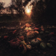 <span style="font-family: Ubuntu Condensed; letter-spacing:0.3em;">PUMPKIN SUNDOWN</span><br