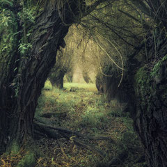 LAMENT