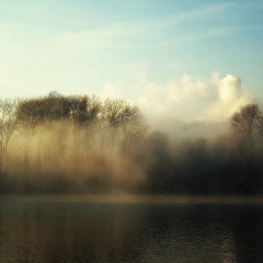 MORNING FOG